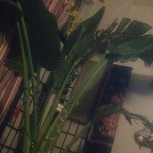 Meet your Posher, Becka